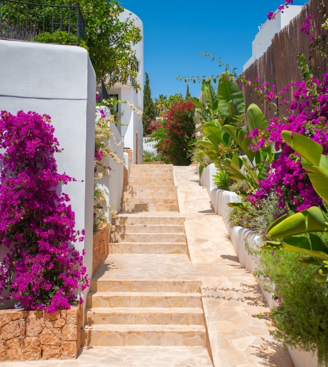 Resa estates Ibiza for sale modern villa martinet views exterior stairs.jpg